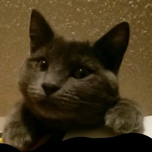 Meet your Posher, Erika